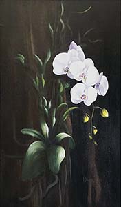 Orchids au Naturel